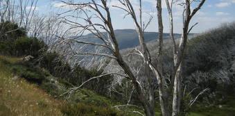 Hiking the Victorian Alps