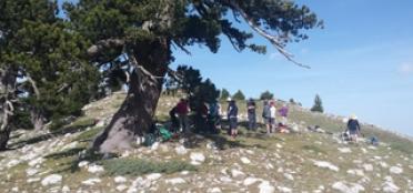 Pollino National Park