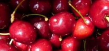 A Bite of the Cherry