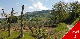 Etruscan Trails in Central Italy