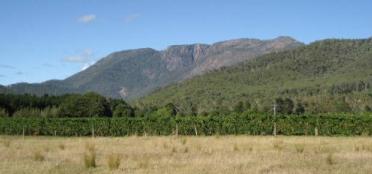 Magical Mount Buffalo