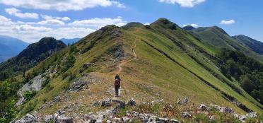 Best Books on Walking