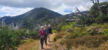 Voyage to the centre of the Victorian Alps