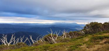 Visit Victoria’s High Country