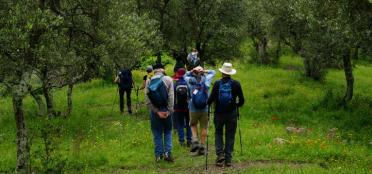 Italy launches the Path of the Parks