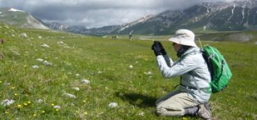 Barbara Bayliss: Hiking her way to history!