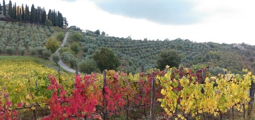 Autumn Hiking in Italy