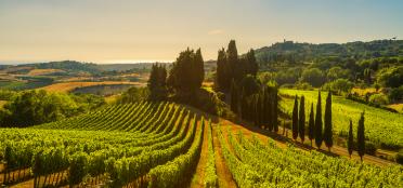 7 things you may not know about Tuscany