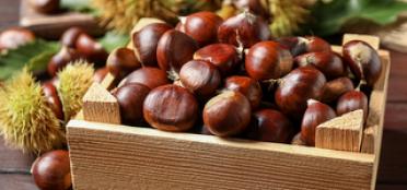 Championing Chestnuts