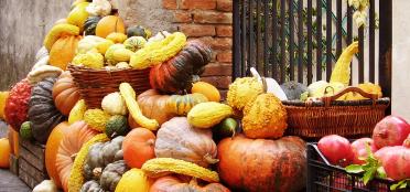 Cooking with Pumpkins