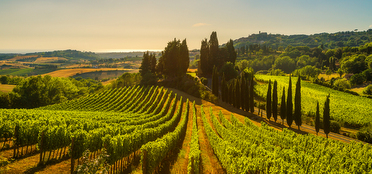 Tuscany’s Hidden Gems